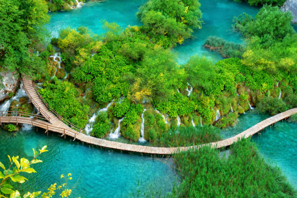 istock Beautiful wooden path in Plitvice Lake, Croatia. 1124291400
