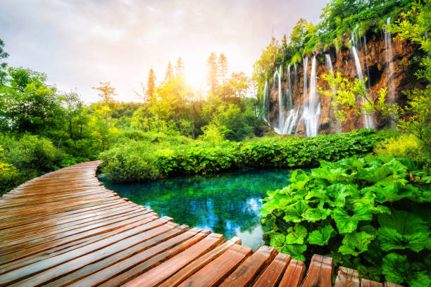 istock Beautiful wooden path in Plitvice Lake, Croatia. 1124291470