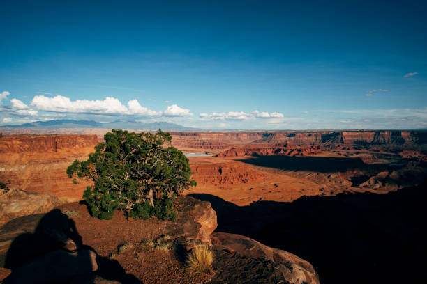 istock Dead Horse Point State Park - Utah - USA 1124293207