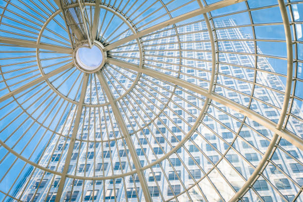 istock Glass Roof and Skyscraper 1124293642