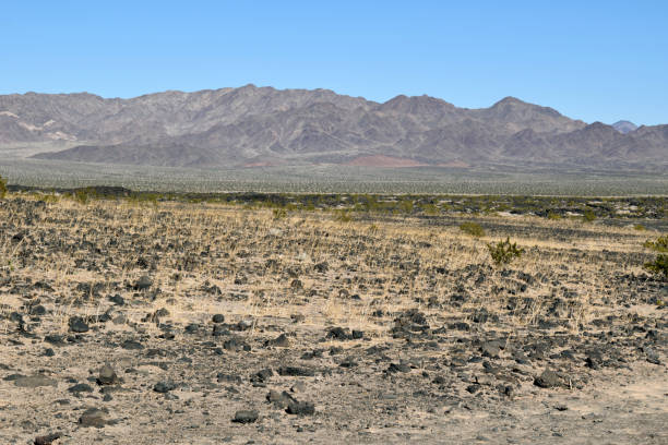 istock A Sunny Day in the Mojave Desert 1124300028