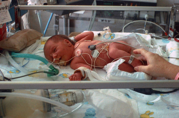 istock Newborn preemie in neonatal intensive care unit 1124300687