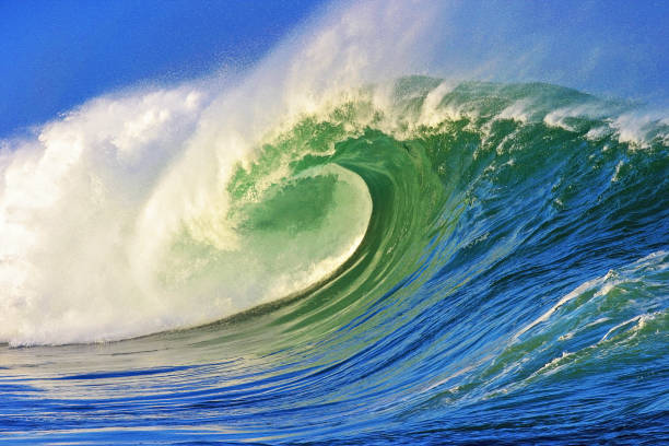 istock A Beautiful Ocean Wave on the North Shore of Oahu, Hawaii 1124301729