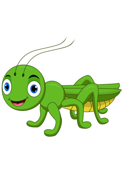 illustrazioni stock, clip art, cartoni animati e icone di tendenza di carino cartone animato cavalletta isolato su sfondo bianco - cricket locust grasshopper insect