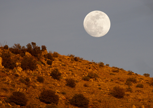 Beautiful moon rises above ridge top glowing red in sunset light on Mt. Lemmon Scenic Byway at Babad Do'Ag Overlook.