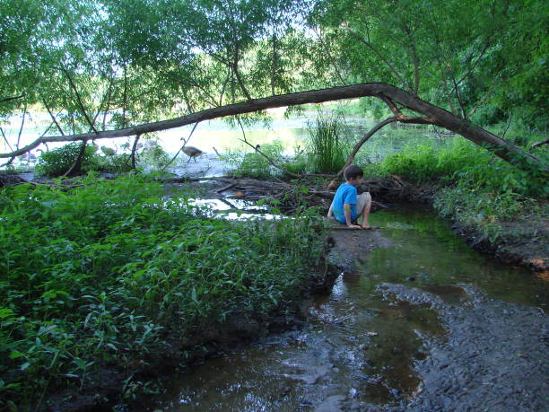istock Young boy sitting on the side of a forested stream with net in hand looking for frogs. 1124306563