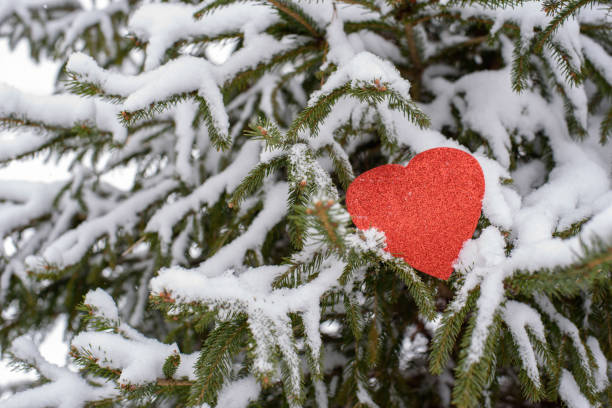 istock Red valentine heart on snowy pine tree branch 1124309669