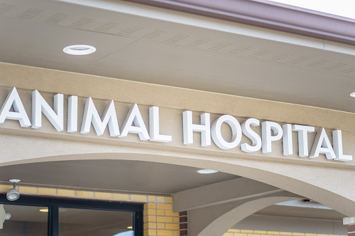 exterior closeup of animal hospital lettering sign