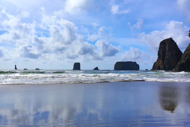 istock Rocky Shore, Sea Stacks, and Reflection - Second Beach, Olympic National Park 1124311868