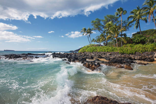 Crashing Waves in Tropical Beach (Makena Cove, Maui HI) stock photo