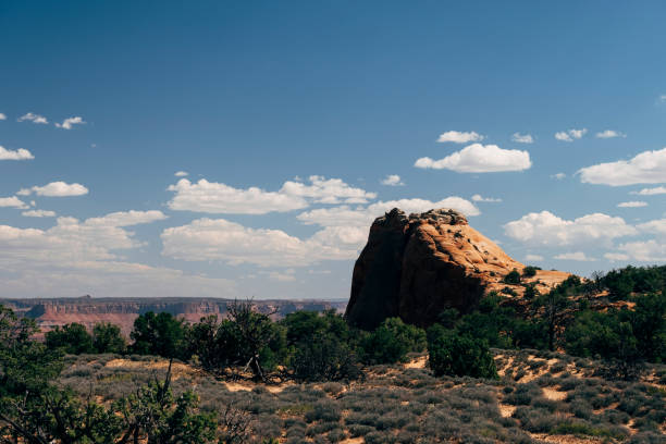istock Canyonlands National Park - Utah - USA 1124316309