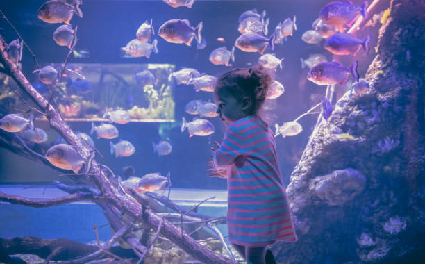 istock Curious child exploration concept children curiosity and development in blue purple pink colors 1124324007