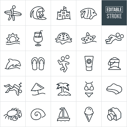 A set of beach icons that include editable strokes or outlines using the EPS vector file. The icons include a beach, surfer, surfing, sand castle, tropical fish, sun, ocean, sea, tropical drink, starfish, beach volleyball, dolphin, sea-life, flip flops, sunscreen, sand pail, scuba diving, beach umbrella, palm tree, bikini, coastline, crab, sea shell, sail boat, ice cream and camera to name a few.