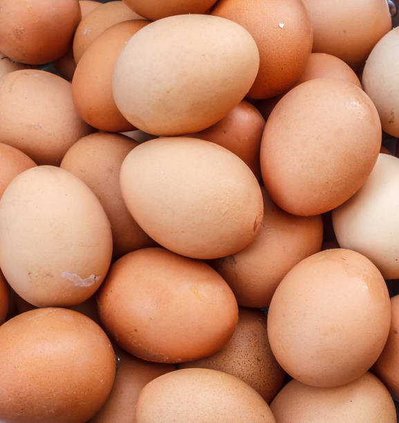 istock Fresh eggs in a nest photos near closeup 1124331612