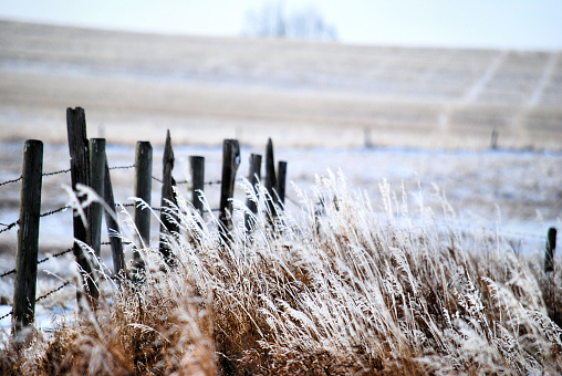 A frozen field covered in snow with grass along the edge of the fence in the cold month of January