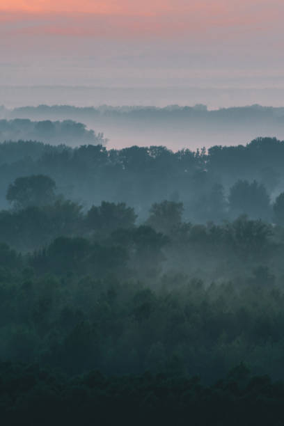 istock Mystical view from top on forest under haze at early morning. Mist among layers from tree silhouettes in taiga under warm predawn sky. Morning atmospheric minimalistic landscape of majestic nature. 1124334843