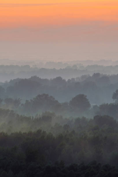 istock Mystical view from top on forest under haze at early morning. Mist among layers from tree silhouettes in taiga under warm predawn sky. Morning atmospheric minimalistic landscape of majestic nature. 1124334844
