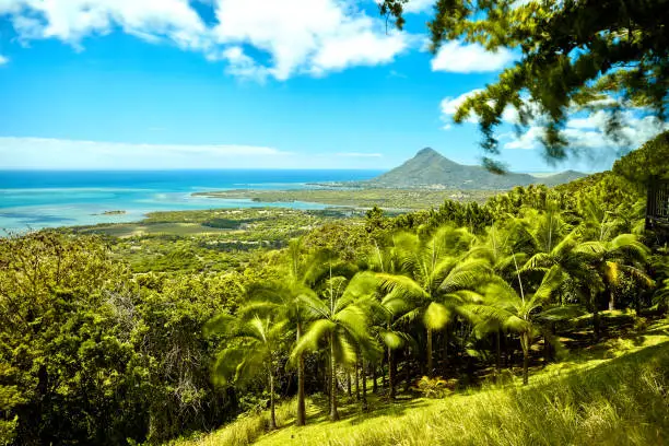 Photo of Beautiful coast of Mauritius seen from the viewing point if Chamarel
