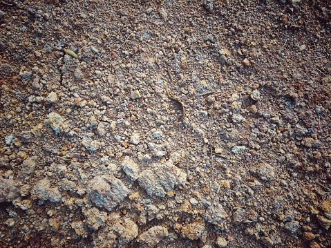 soil surface floor texture background. ground on cultivation area