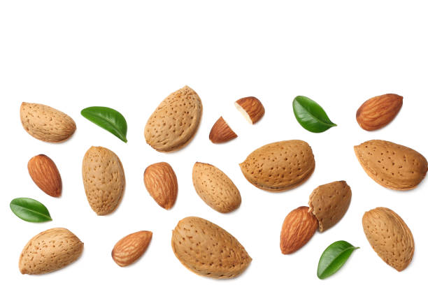 istock almonds with green leaves isolated on white background. top view. 1124357089