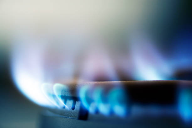 flammes de la cuisinière à gaz - flame natural gas boiler burner photos et images de collection