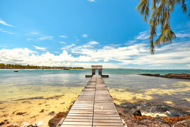 istock jetty of belle mare beach, mauritius island 1124359734