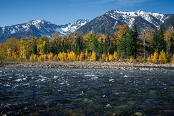 istock River Snezhnaya (Snowy)  in the autumn 1124365855