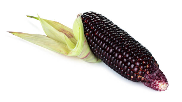 istock Siam Ruby Queen is super sweet corn with red color, can be eaten fresh, isolated on a white background with clipping path 1124366121