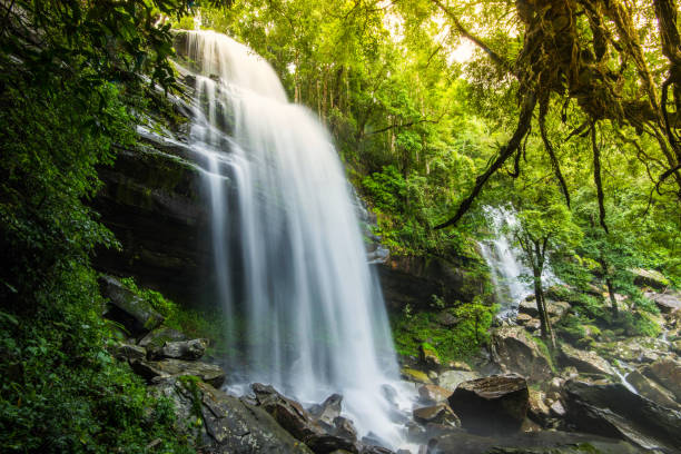 istock Jungle beautiful waterfall Mountain river stream - Landscape waterfall front of the cave green forest nature 1124366156