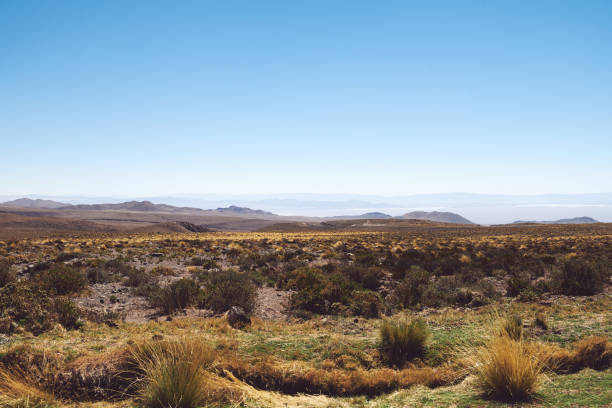 istock Scenic View Of Landscape Against Clear Sky 1124374525