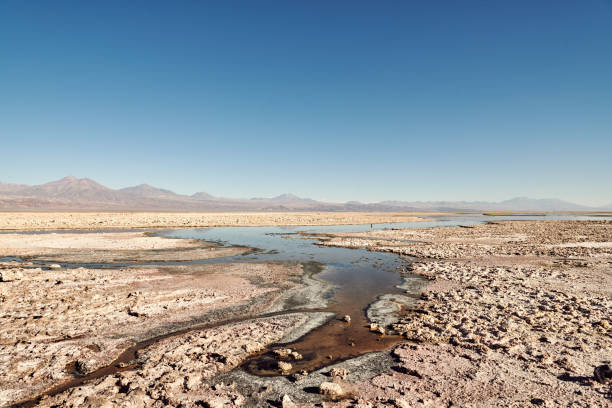 istock Scenic View Of Desert Against Clear Blue Sky 1124374556
