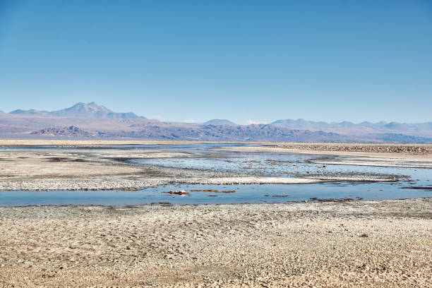 istock Scenic View Of Lake Against Clear Blue Sky 1124374601