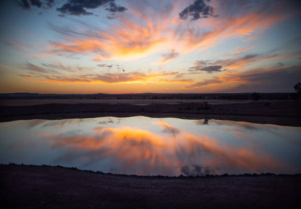 Capturing the reflection of the sunset in a farmer's dam near Wagga Wagga NSW