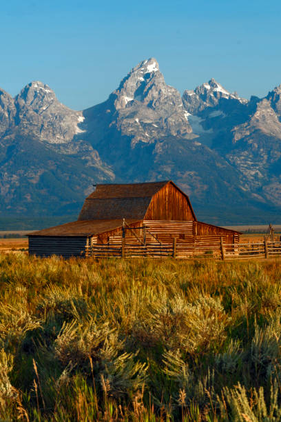 parc national de grand teton, wyoming, usa - wyoming teton range jackson hole autumn photos et images de collection