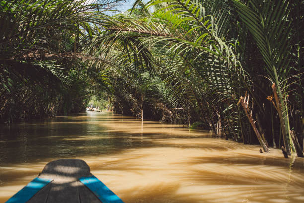 istock Wooden Rowboat In River At Forest 1124387192