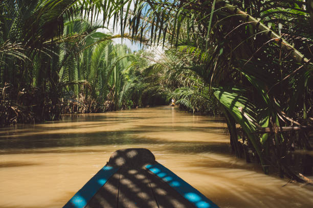 istock Wooden Rowboat In River At Forest 1124387262