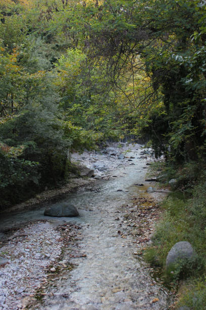 istock River and Springs in Pozar Thermal Baths Aridaia Greece 1124392095