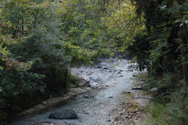 istock River and Springs in Pozar Thermal Baths Aridaia Greece 1124392121