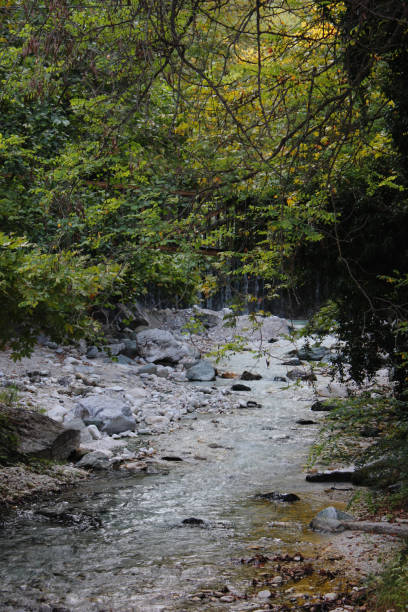 istock River and Springs in Pozar Thermal Baths Aridaia Greece 1124392198
