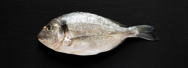 istock Fresh dorado fish on black background, overhead view. Flat lay, from above, top view. 1124393510