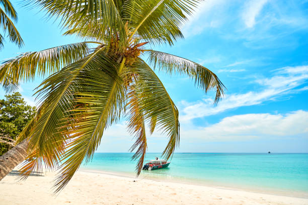 istock nosy iranja beach and boat 1124394540