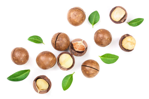 istock Shelled and unshelled macadamia nuts with leaves isolated on white background with copy space for your text. Top view. Flat lay pattern 1124395617