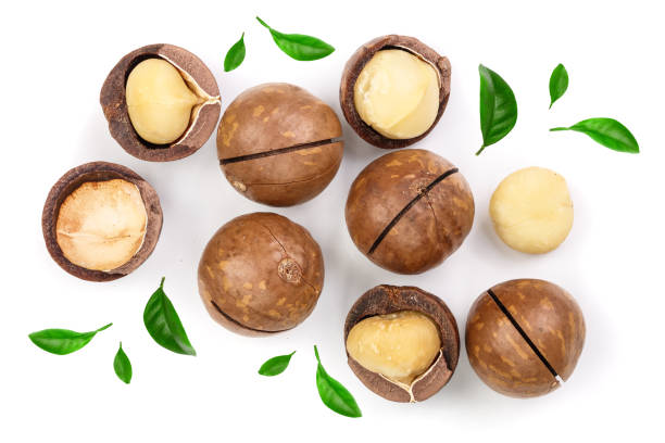 istock Shelled and unshelled macadamia nuts with leaves isolated on white background. Top view. Flat lay pattern 1124395622