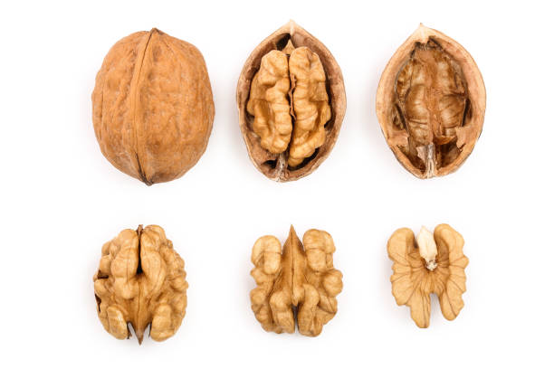 istock Walnuts isolated on white background. Top view. Flat lay. Set or collection 1124395684