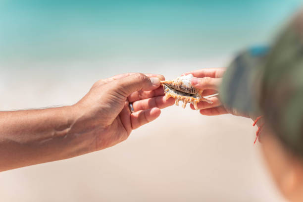 istock Seashell in a man's and child's hand 1124395868