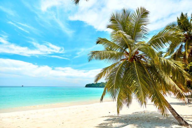 istock nosy iranja beach and boat 1124396587