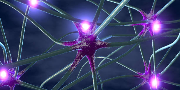 istock 3d illustration of transmitting synapse,neuron or nerve cell 1124398789