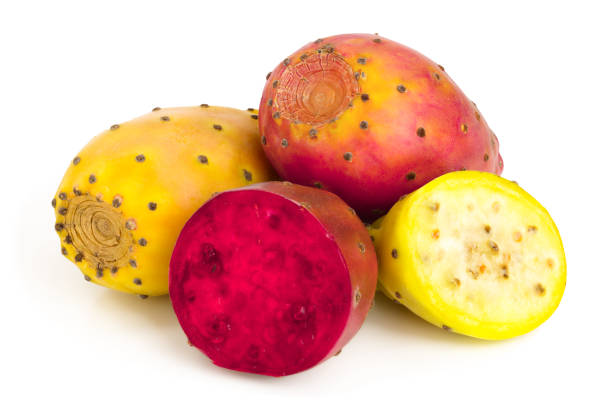 istock yellow and red prickly pear or opuntia isolated on a white background 1124399176