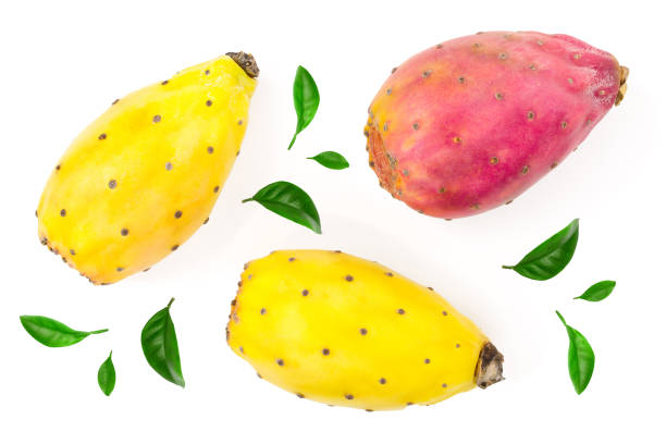 istock red end yellow prickly pear or opuntia isolated on a white background. Top view. Flat lay 1124399211