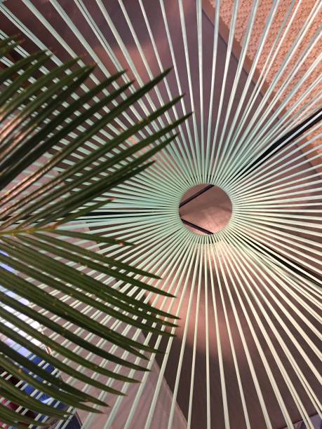 istock Acapulco chair with palm leaf 1124403580